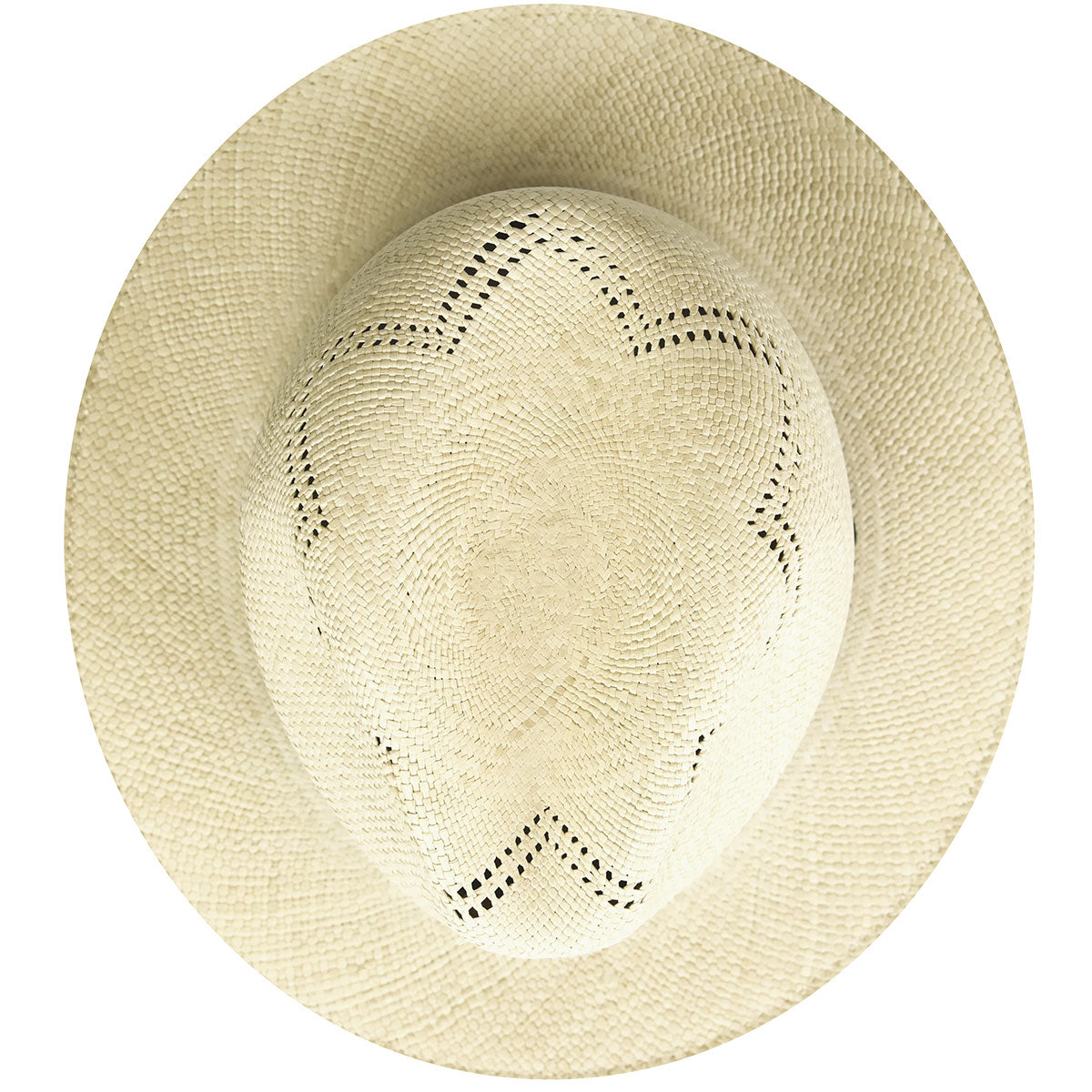 Bailey Western Trusted | Bailey 1922 Arion Fedora - Past Season Sale