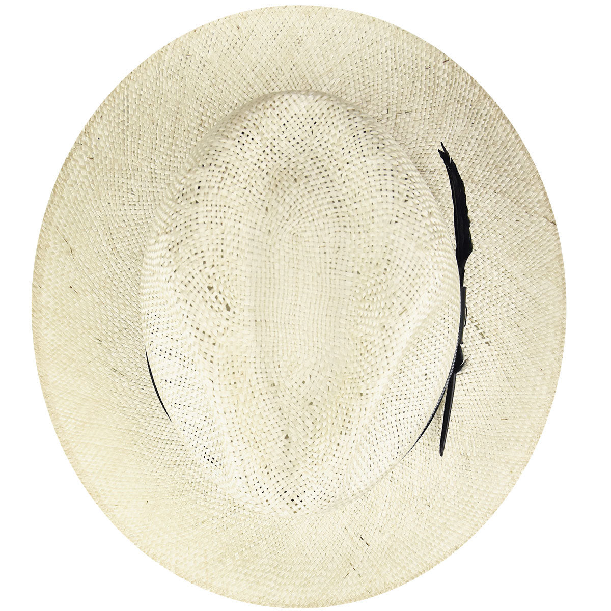 Bailey Western Latest | Bailey 1922 Braylon Fedora