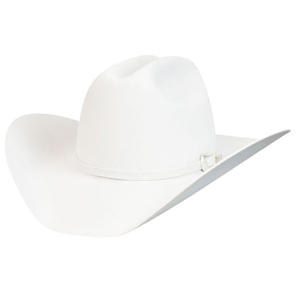 Bailey Western Value | Bailey Western Lightning 4X
