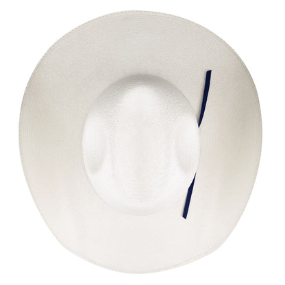 Bailey Western Quality | Bailey Western Arriba 20X Cowboy Hat